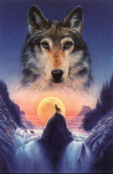 إضغط لترى الصوره كامله